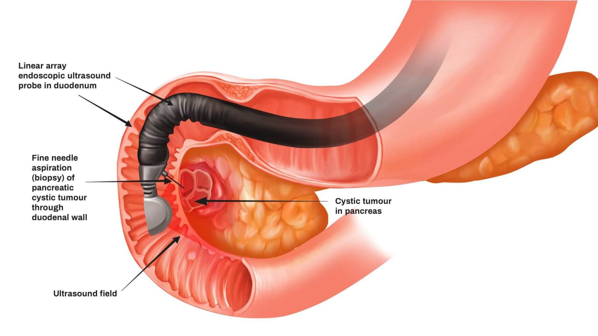 Physiotherapy & Rehabilitation